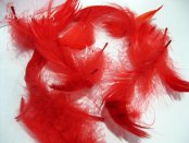 PLUMAS PARA DECORAR (paquete grande 200ud)
