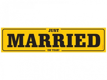 MATRICULA PARA COCHE NOVIOS  Just Married 5