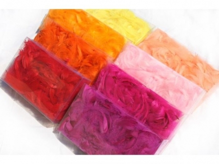 PLUMAS PARA DECORAR