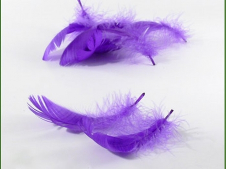 PLUMAS PARA DECORAR (paquete grande 200ud)  ref.  P