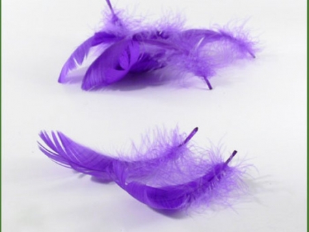 PLUMAS PARA DECORAR